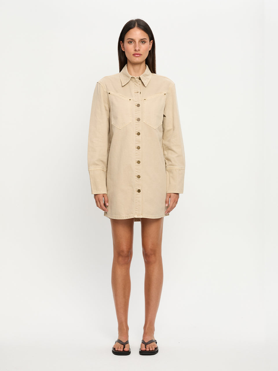 Carla Denim Mini Dress