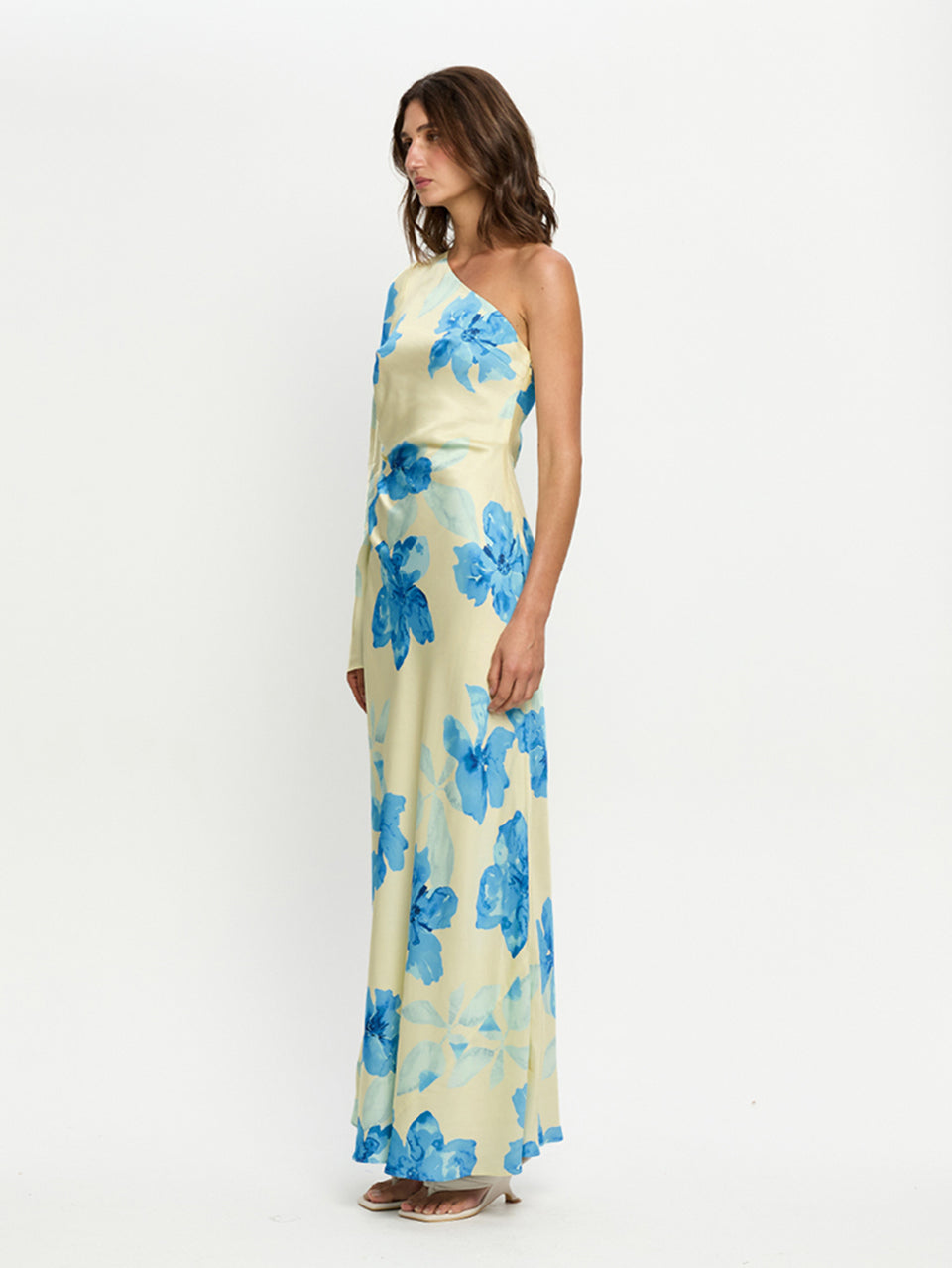 Sophie One Sleeve Maxi dress