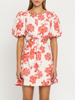 Stellar Cut Out Mini Dress