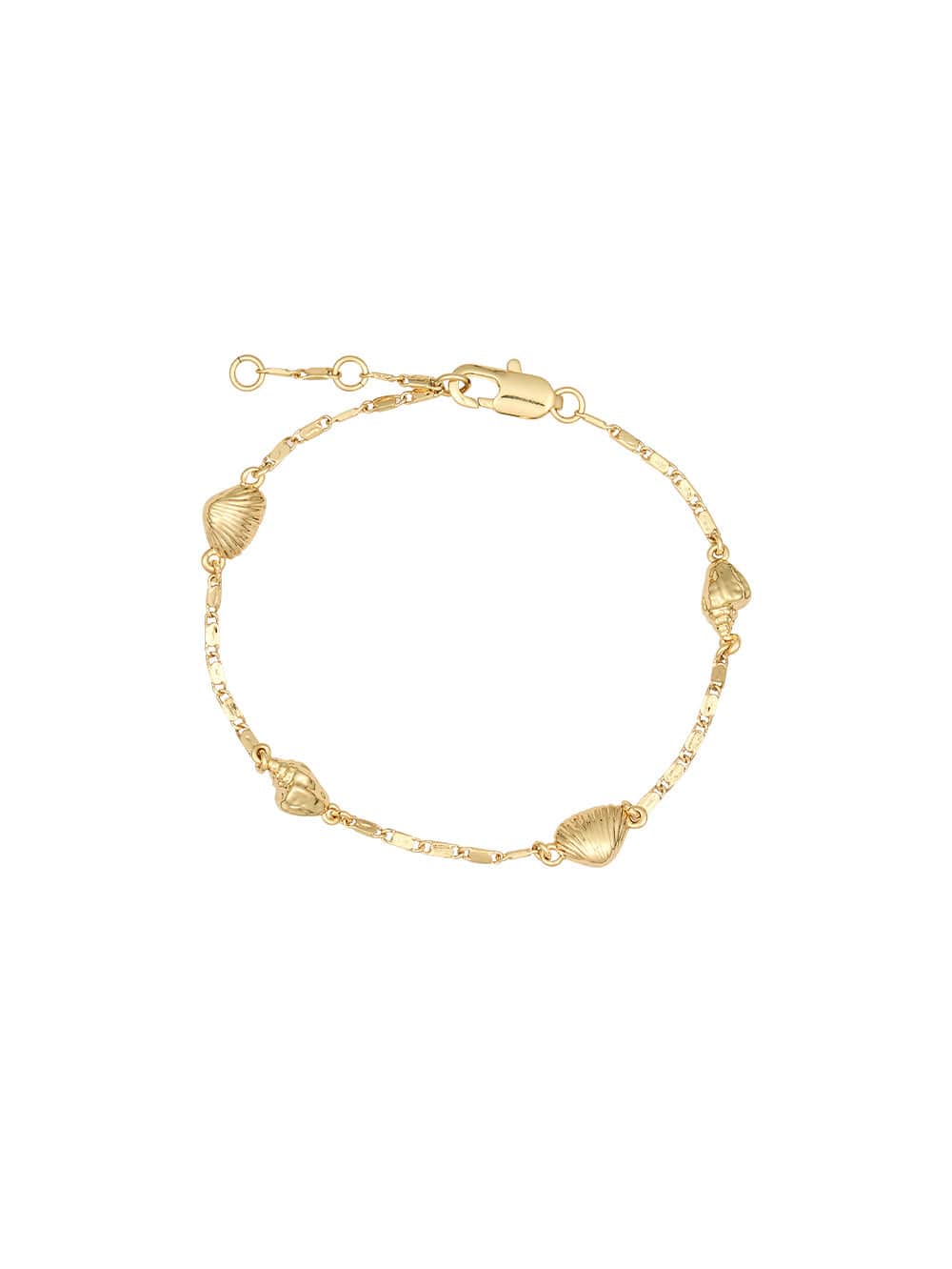 Thalassa Bracelet KIVARI - Gold shell studs on gold chain bracelet
